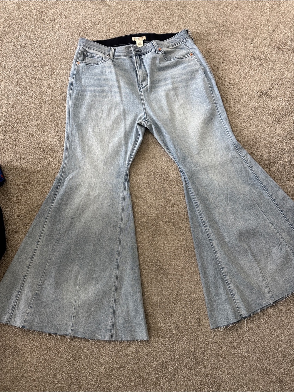 NWT Torrid Festi Super Flare Jeans